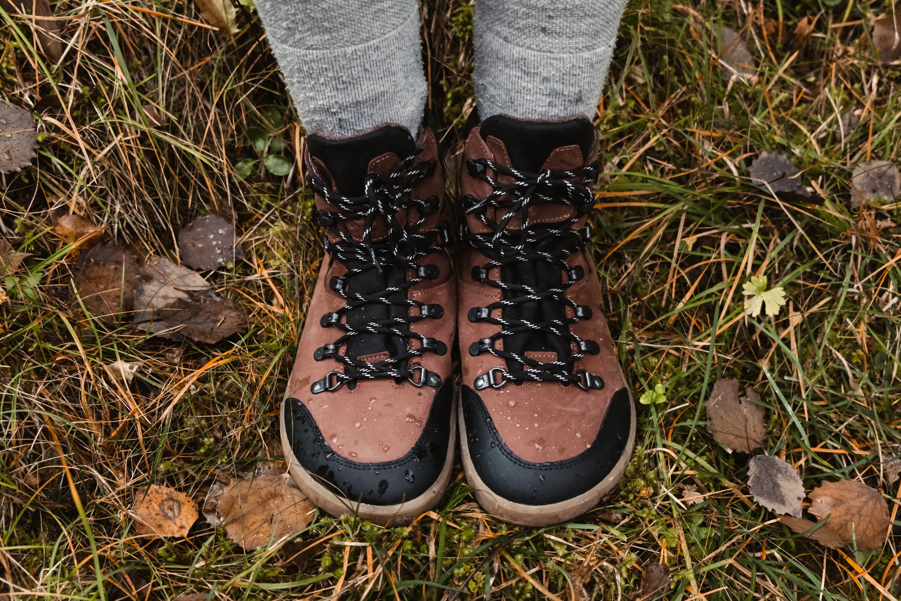 Barfußschuhe Be Lenka Ranger 2.0 - Dunkelbraune Schuhe_Be Lenka_Schuhwerk
