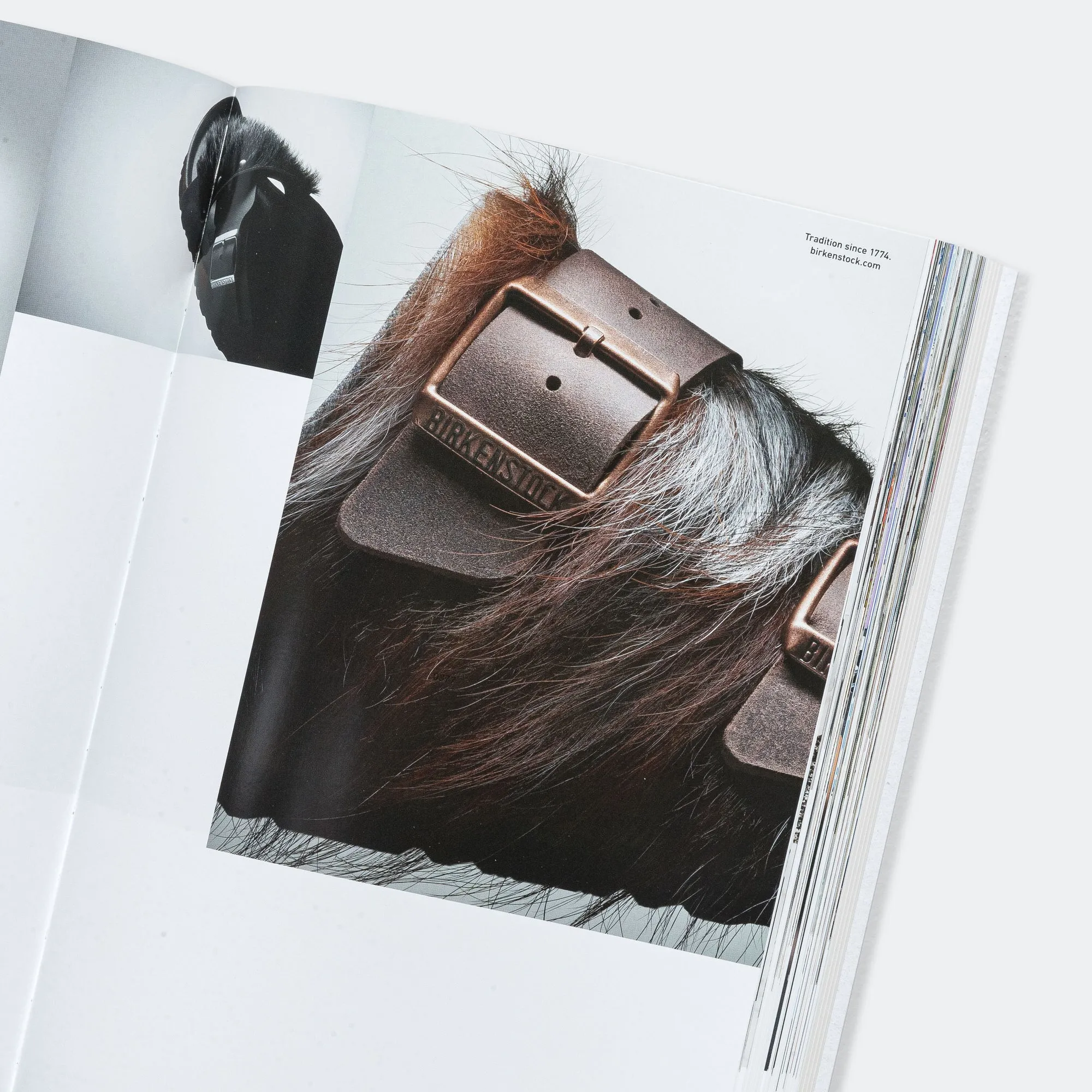 Birkenstock Schuhe Buch von Birkenstock - Coffee Table Buch